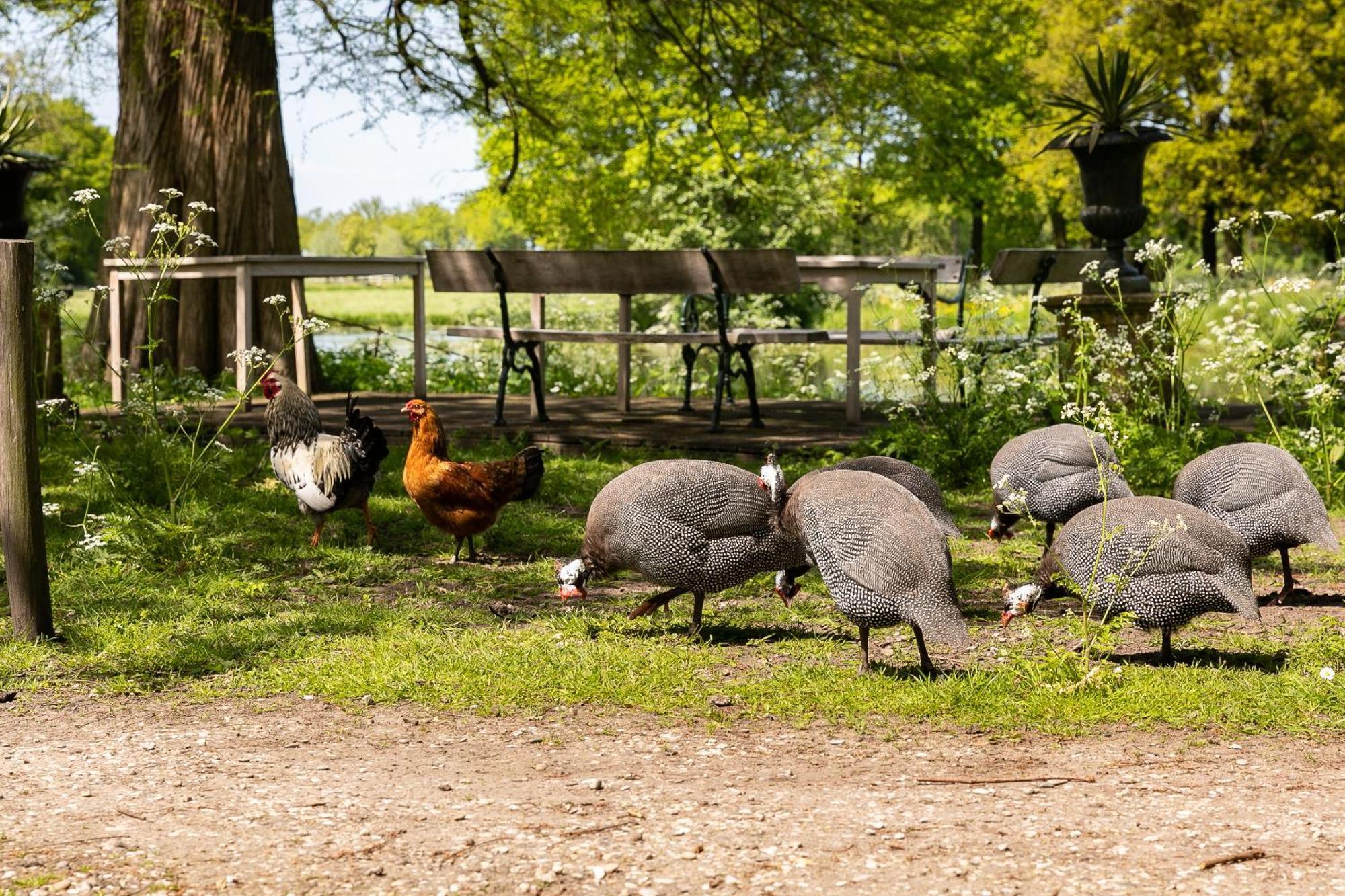 Kasteel Sterkenburg Driebergen Eksteriør billede